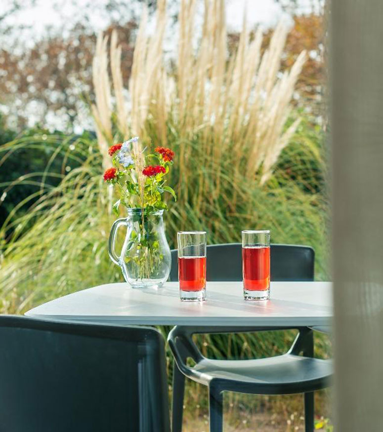 Jardin de Babylone logo: studio and apartment rentals in the Naturist Village of Cap d’Agde